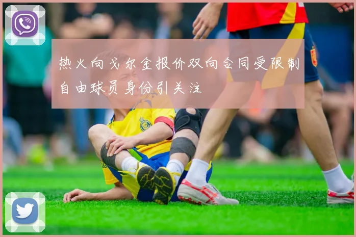 热火向戈尔金报价双向合同受限制自由球员身份引关注