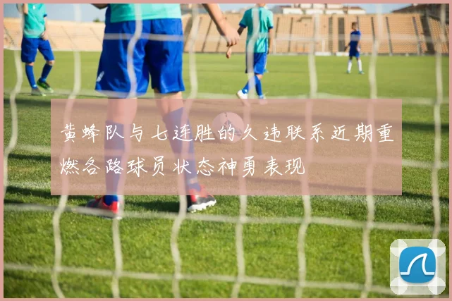 黄蜂队与七连胜的久违联系近期重燃各路球员状态神勇表现