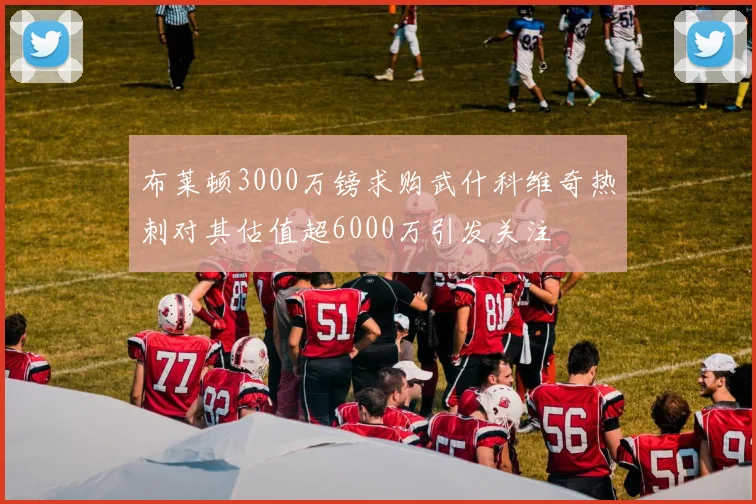 布莱顿3000万镑求购武什科维奇热刺对其估值超6000万引发关注